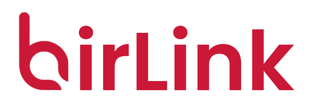 BirLink Logo